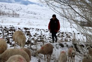 11 yandaki oban dondurucu soukta sr gdyor