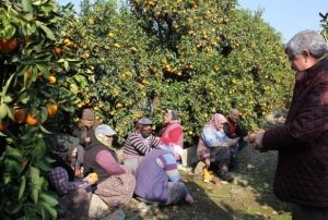 Dalnda 1,5 liraya satt; zincir markette fiyat 5,90 liraya frlad
