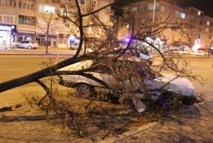 Kayseriye frtna uyars