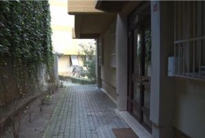  Avukata silahl saldr: Merhaba abla deyip ate at