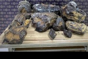 Mersin'de 10 milyon lira deerinde 'balina kusmuu' ele geirildi