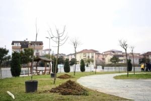 Herkes dalndan yesin diye yzlerce kiraz ve vine ekildi