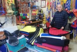 Meslein son temsilcisi