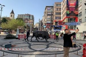 Tahrip edilen Kadky Boa Heykeli kapatld