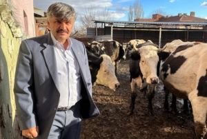 Ste gelen zamdan sonra yem fiyatlar da ykseldi