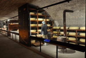Türkiyenin ilk Peynir Müzesi Karsta