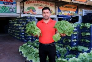 Sebze ve meyve fiyatlar yar yarya decek