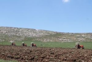 eyrek asr akn ekilmeyen tarm arazileri ekonomiye kazandrlacak