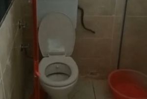 Yzn ykamak istedi, banyosunda ylanla karlat