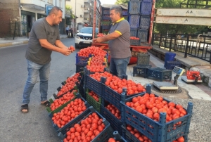 Salçalık domates fiyatları el yakıyor