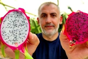 'Batarsn' diyenleri dinlemedi imdi servet kazanyor