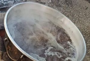 ifa kayna pekmezler kaynamaya balad