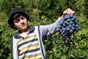 ki asrlk balarda  zm hasad devam ediyor