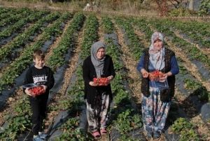 Kyl kadnlarn hayat bir fide ile deiti