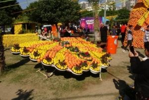 Uluslararas Narenciye Festivali balad
