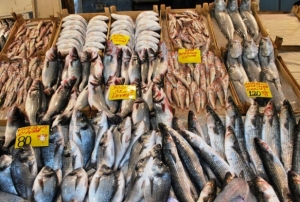 Balık fiyatlarından alan memnun, satan memnun