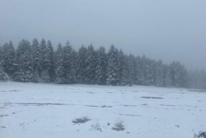 Yedigller beyaz rtyle kapland