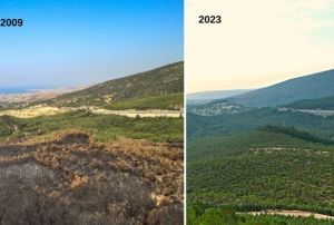 zmir'in akcierleri, yangndan 14 yl sonra yeerdi