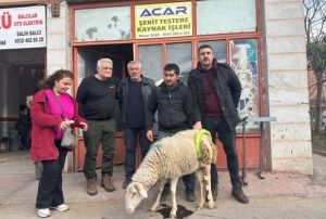 Baca krlan koyuna sanayide aparat yaptlar
