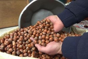 TMOnun 58 TL'den fndk satna tepki