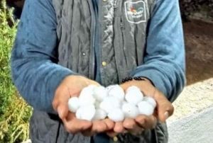 Kilis'te ceviz byklnde dolu yad