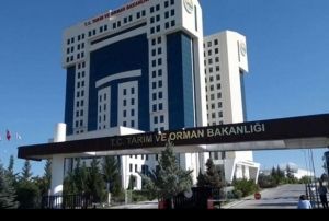 Tarm ve Orman Bakanl, kurakla dayankl eitlerin ekimini yayg