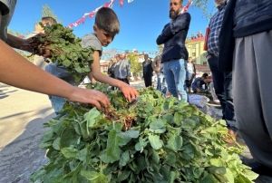 bn-i Sina'nn nerisi 'kuzu kula' her derde deva