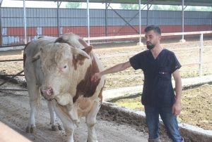 kinci el otomobil fiyatna alcsn bekliyor