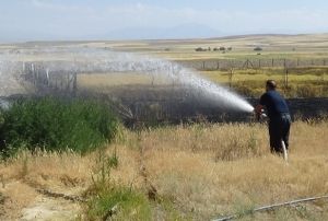 Mangal yapaym derken tarlasn yakt