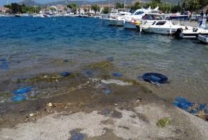 zmir'de denizanas istilas: Hastaneye bavurular att