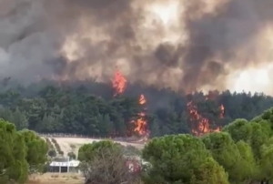 İzmirdeki orman yangınına havadan ve karadan müdahale