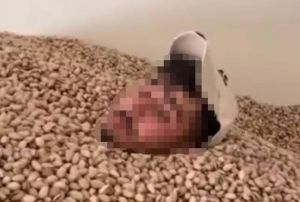 2 Ton Fsta El Konuldu