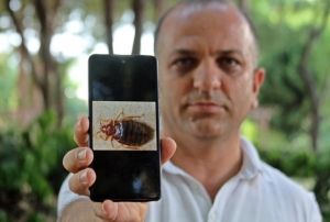 nsann uyumasn bekleyip kann emiyorlar