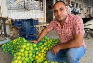 Antalyada halde limon 3 TLye kadar dt