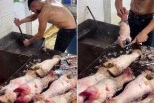 Yarı ıplak, dana ayağı temizliği!