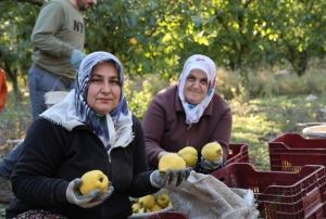 Rusya'nın ayvası Kahramanmaraş'tan