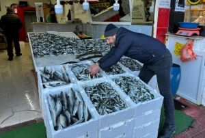 Hamsi tezgahtaki krallığını istavrite kaptırd