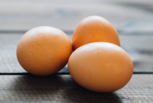 Tavuk yumurtası retimi yzde 3,1 arttı
