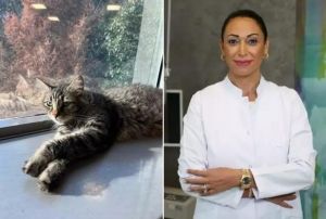 Kedi Tırmalaması Grme Kaybına Yol Aabilir