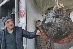 Kalkan Balığı 7 Bin TL'den Alıcı Buldu!