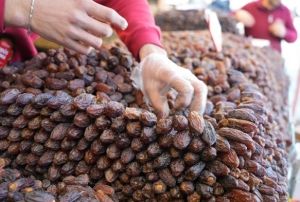Hurma Tezgaha İndi!