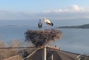 Yarenin Eşi Nazlı Da Geldi!