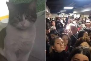 Eros'un Katili Yine Serbest