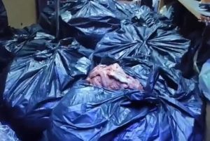 700 Kilogram At ve Eşek Eti!
