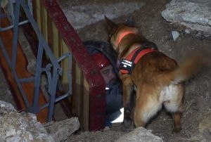 'Hassas Burunlar' Afetlere Hazırlanıyor