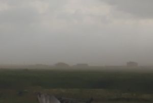 Toz Bulutu ve Fırtına Ekinlere Zarar Verdi