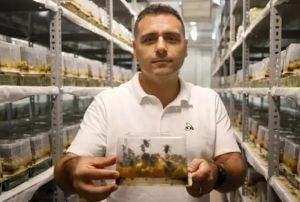 25 lkeye 'Bombus Arısı İhracatı!