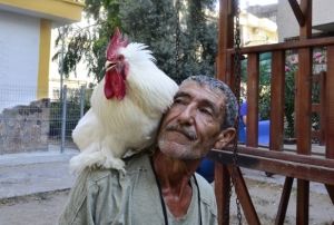 Şaşırtan Grnt: Grenler Tekrar Bakıyor