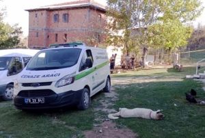 80 yaşındaki adam yengesini vurduktan sonra intihar etti
