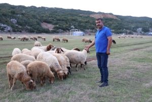 obanlığı da Kendiler